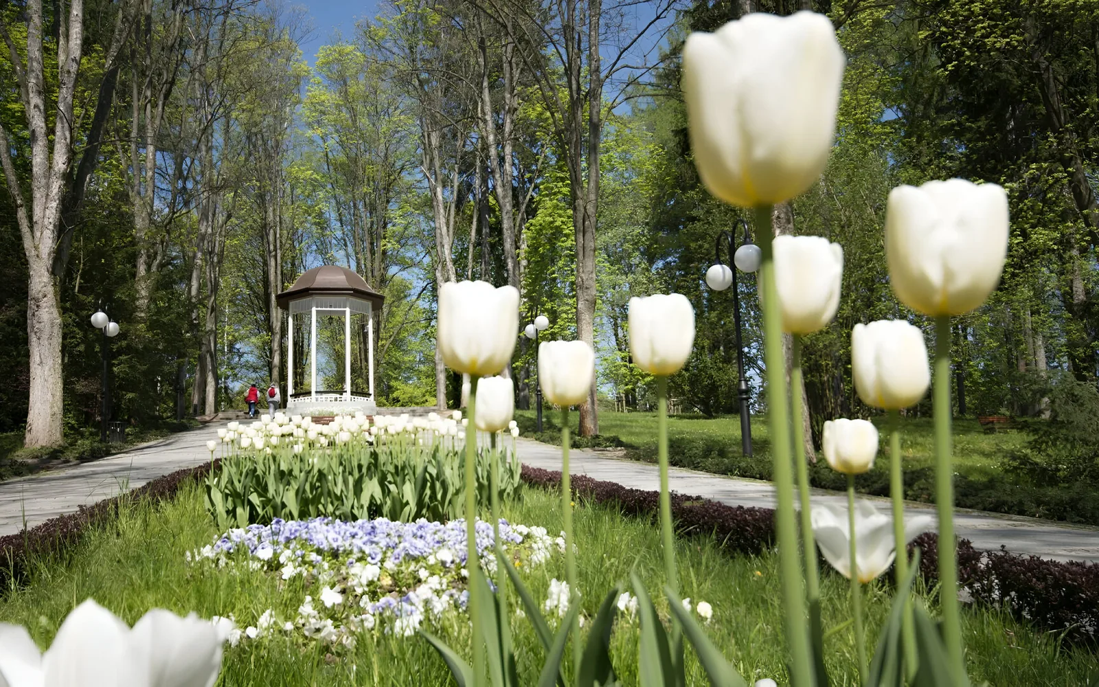 Spa Park in Polanica-Zdroj
